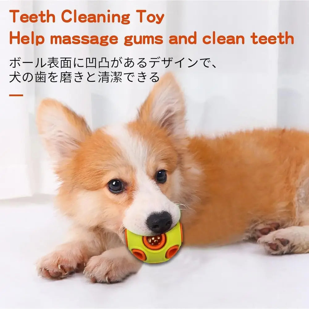 Premium Bouncy Rubber Ball With Internal Jingle Sound For Dogs