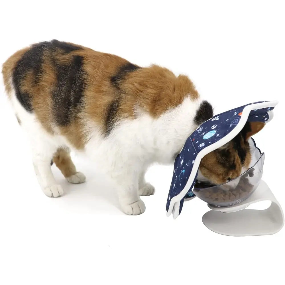 Elizabethan Cat Recovery Collar After Surgery Prevents Licking