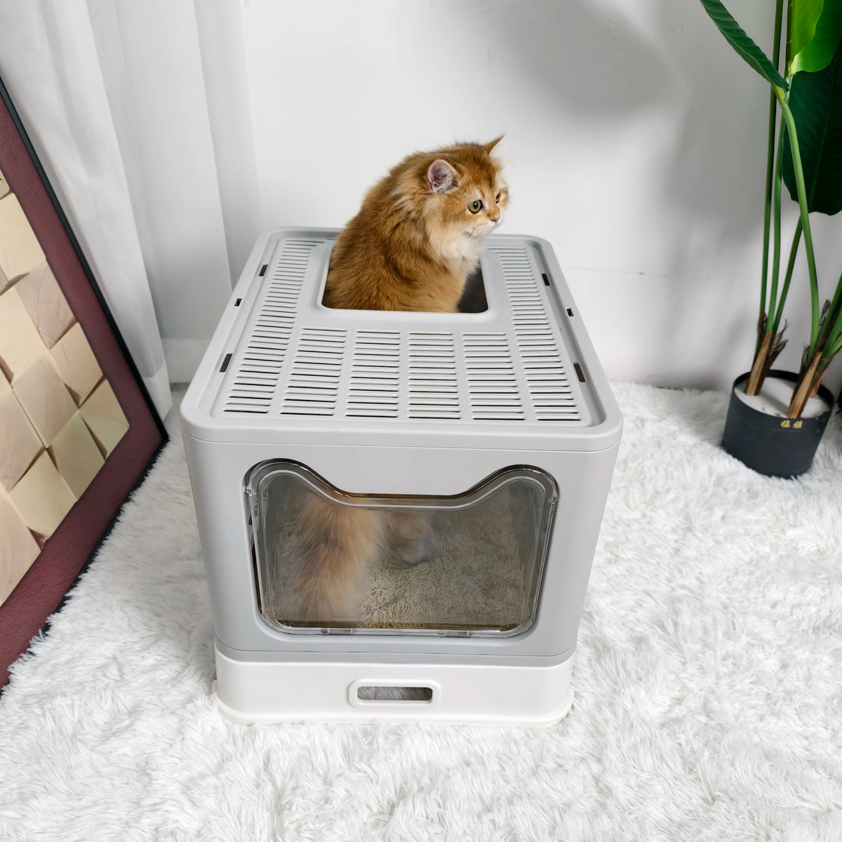 Fully Covered Cat Litter Box With Lid And Scoop