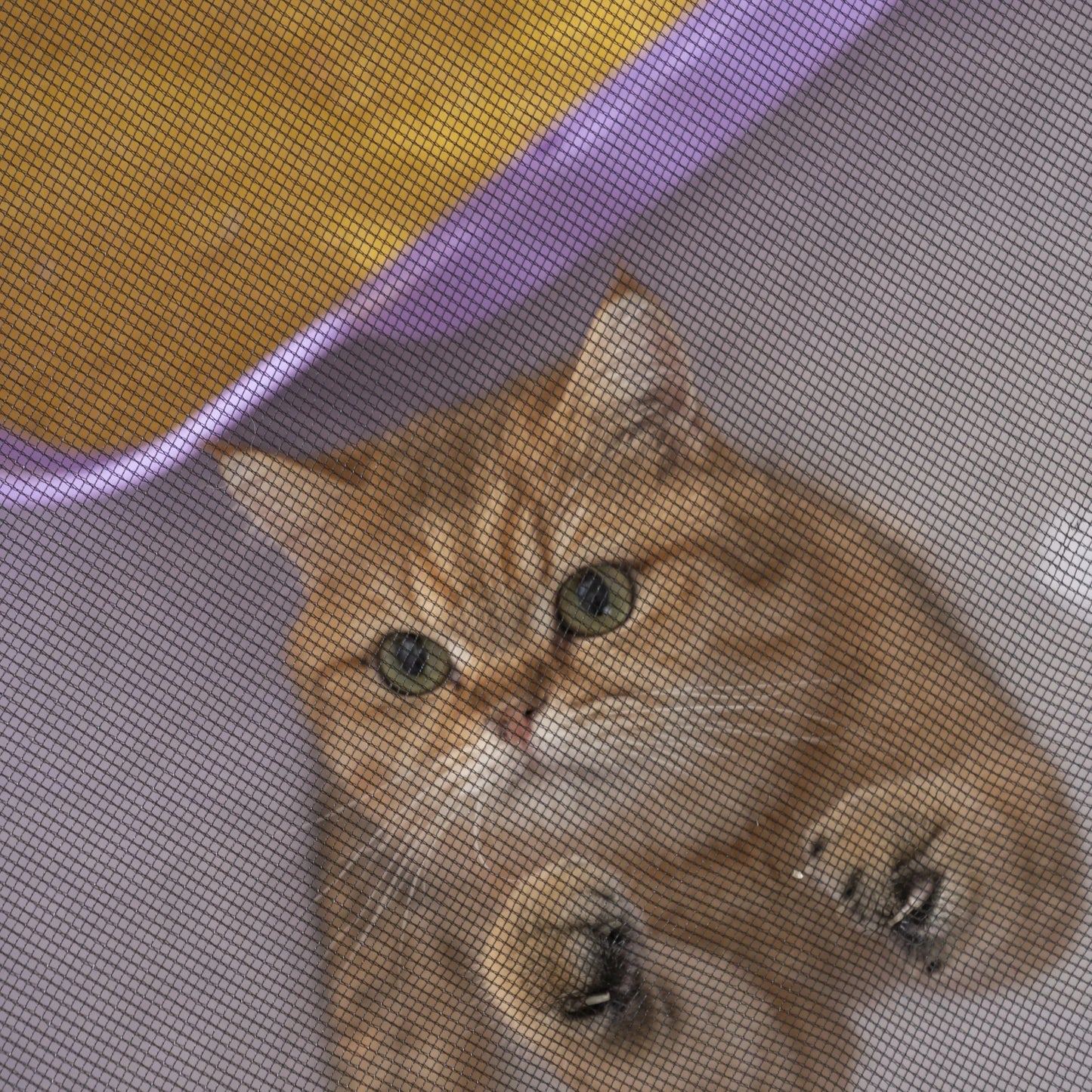 NONECN Foldable Mesh Ventilated Cat Nest For Indoor Outdoor