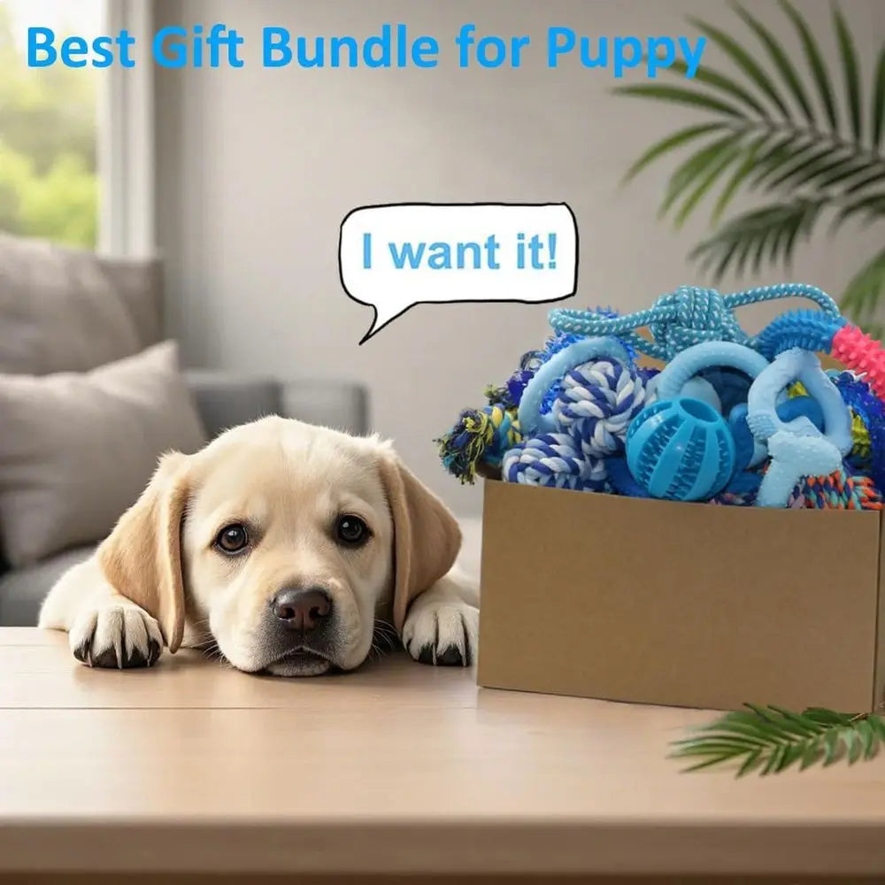 Puppy Chew Toys 20 Pack Teething Rings Ropes Rubber Bundle For Small Dogs