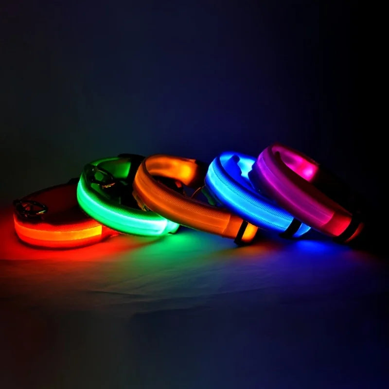 Nylon LED Night Safety Dog Leash with Glow In Dark