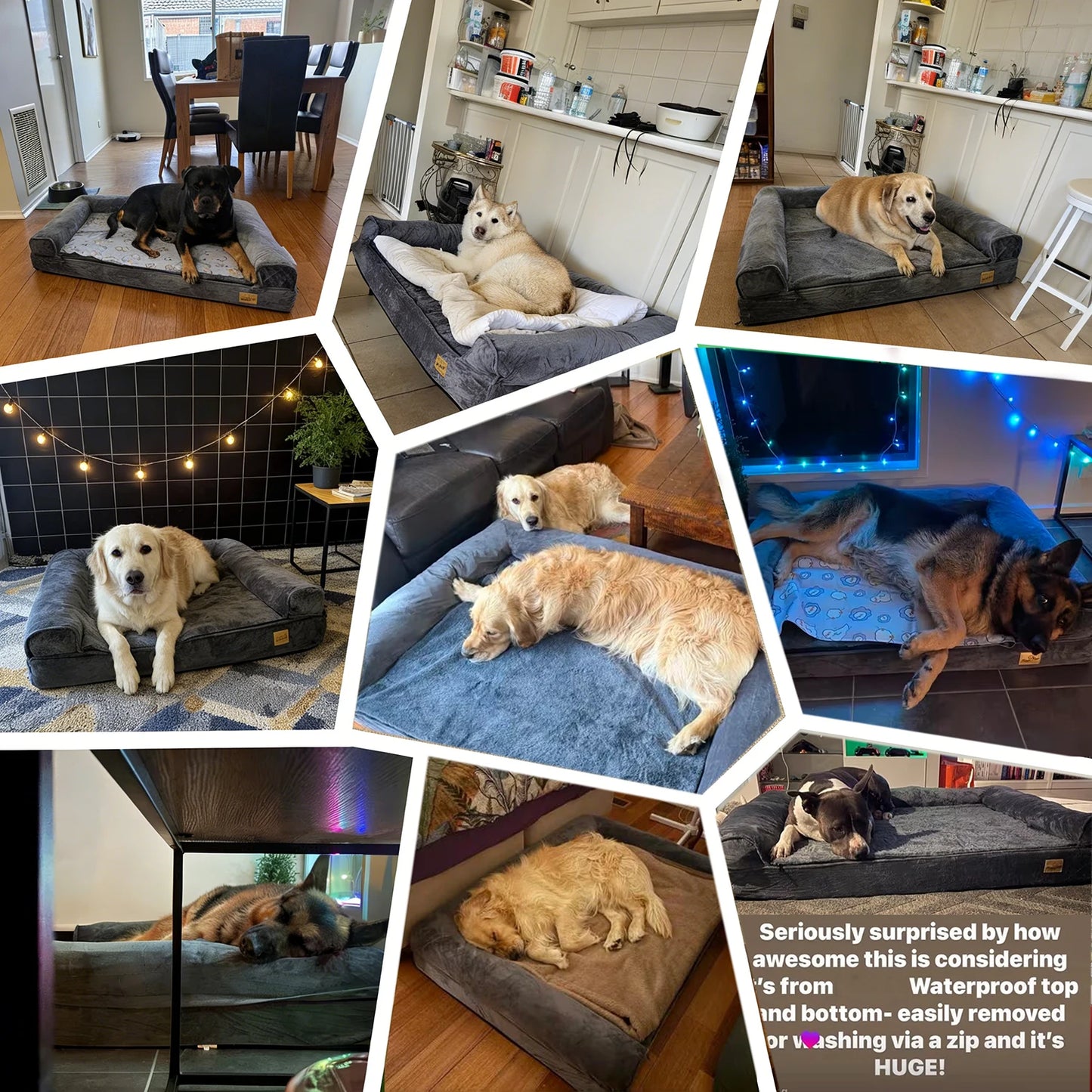 BORWARTCN Calming Dog Bed Orthopedic Memory Foam Waterproof Removable Cover