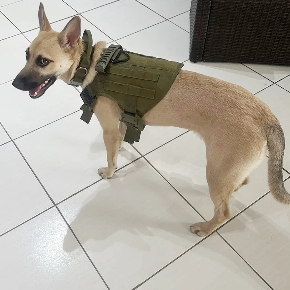 PETRAVEL Tactical Dog Harness And Collar Set For Walking Training