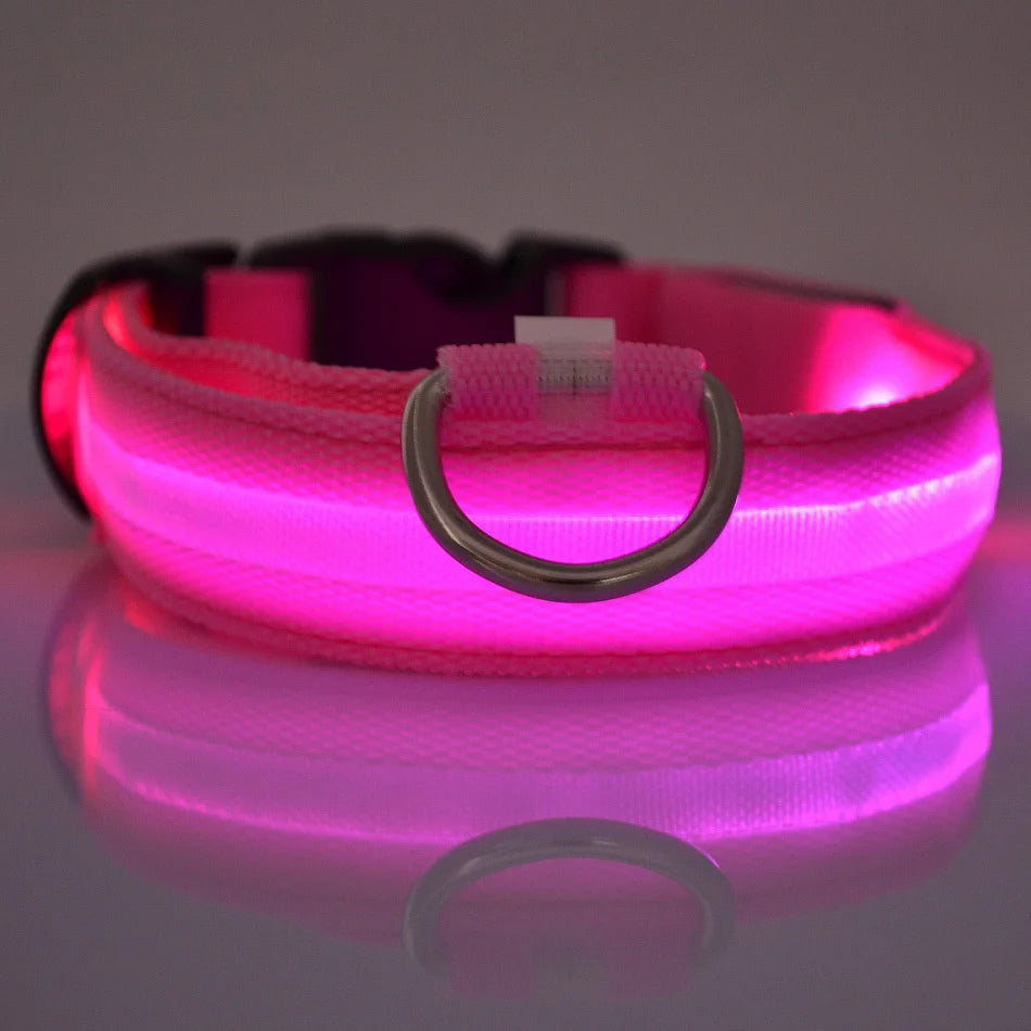 Nylon LED Night Safety Dog Leash with Glow In Dark