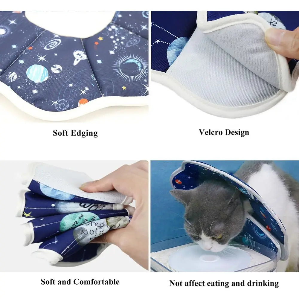 Elizabethan Cat Recovery Collar After Surgery Prevents Licking