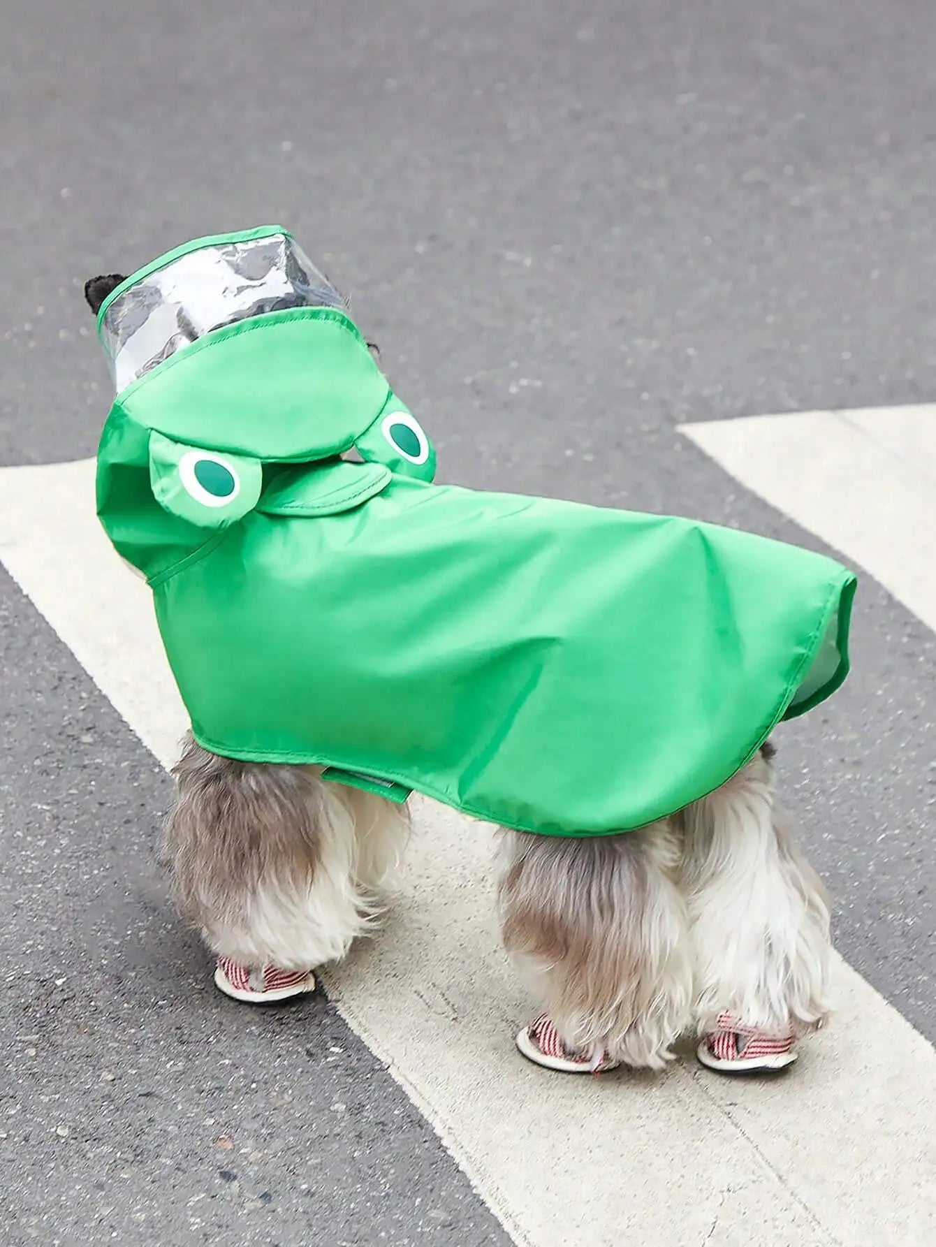 PETSIN Cartoon Bear Hooded Pet Raincoat For Dogs And Cats