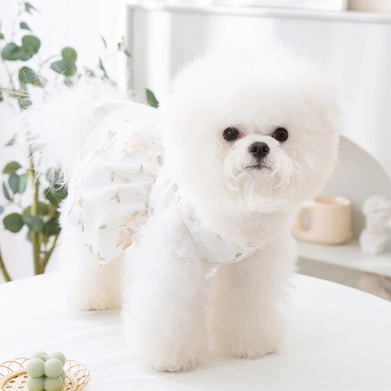 Dog Summer Dress for Small Dog Clothes Fashion Print Puppy Princess Skirt Sweet Bow Cat Dress Pet Costumes Chihuahua Dog Clothes