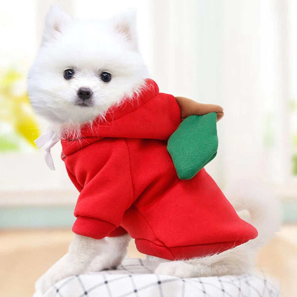 NONECN Cute Fruit Dog Hoodie For Dogs Warm Fleece Cozy