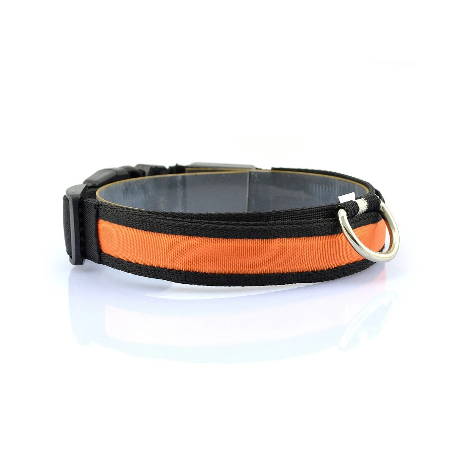 NONECN Glowing Nylon LED Dog Collar For Night Safety