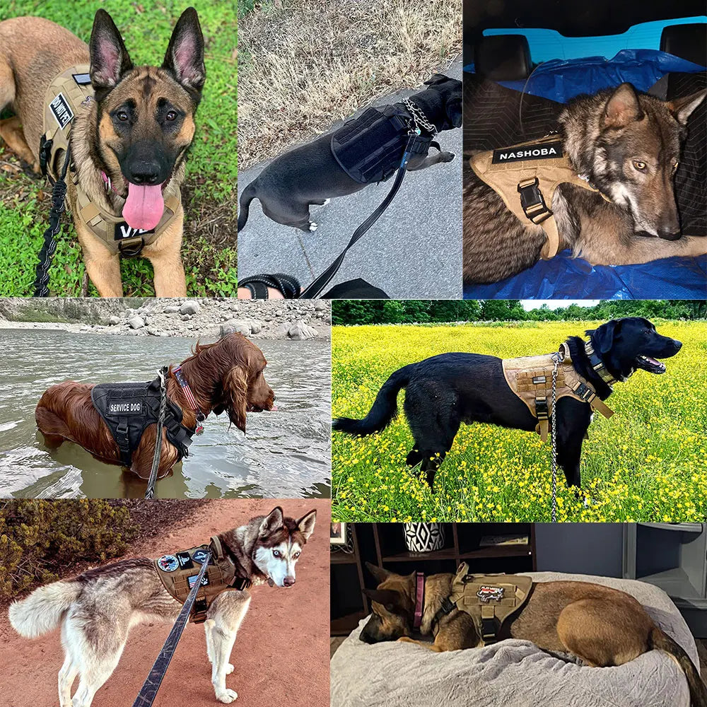 PETRAVEL Dog Harness Vest with Patches for Malinois