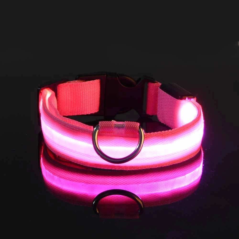 Nylon LED Night Safety Dog Leash with Glow In Dark