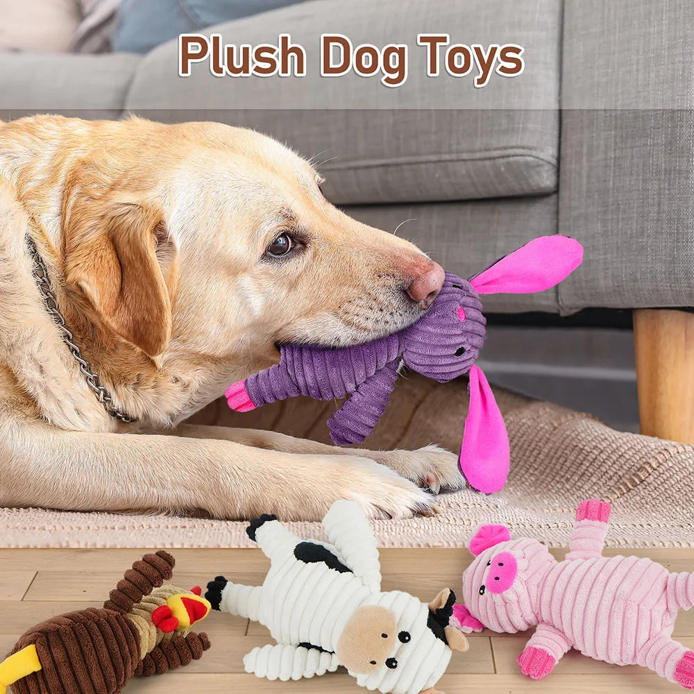 Brand Name None 5 Pack Plush Dog Squeaky Toys Assortment Value Bundle