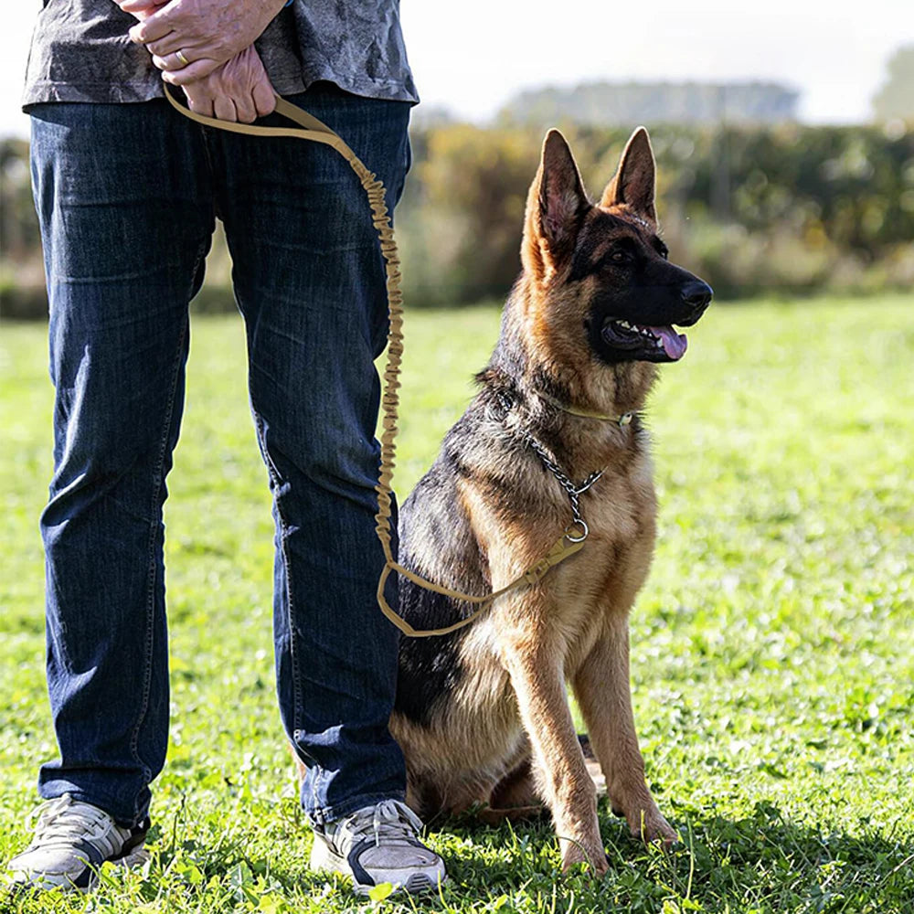 PETRAVELCN Military Dog Leash Quick Release Elastic Rope Dual Handle