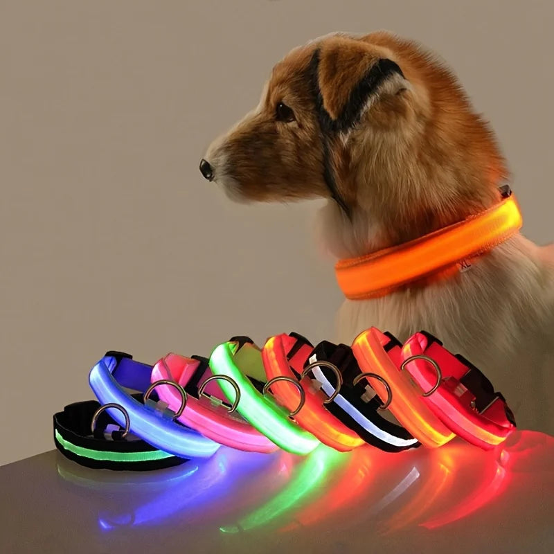 Nylon LED Night Safety Dog Leash with Glow In Dark