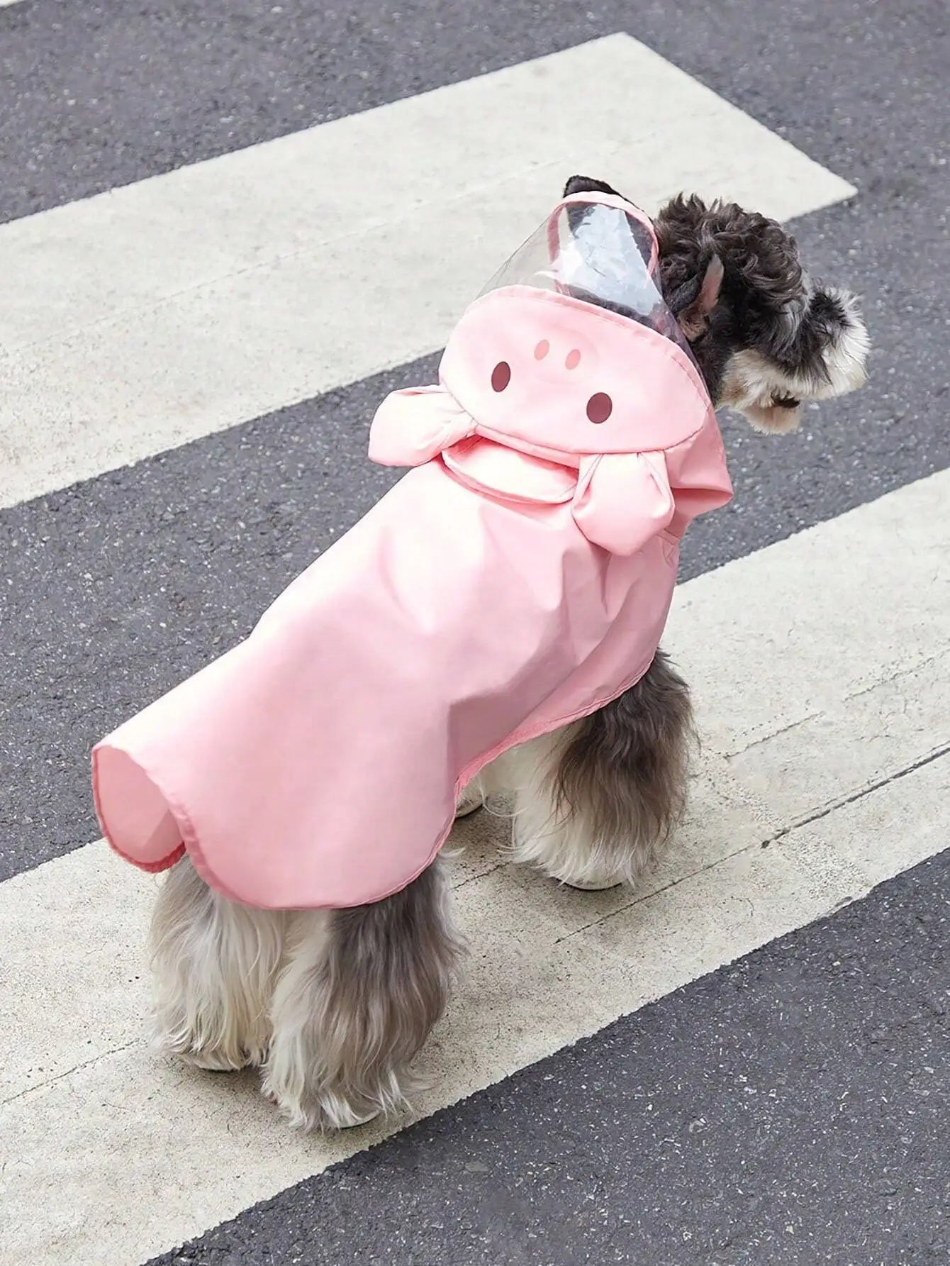 PETSIN Cartoon Bear Hooded Pet Raincoat For Dogs And Cats