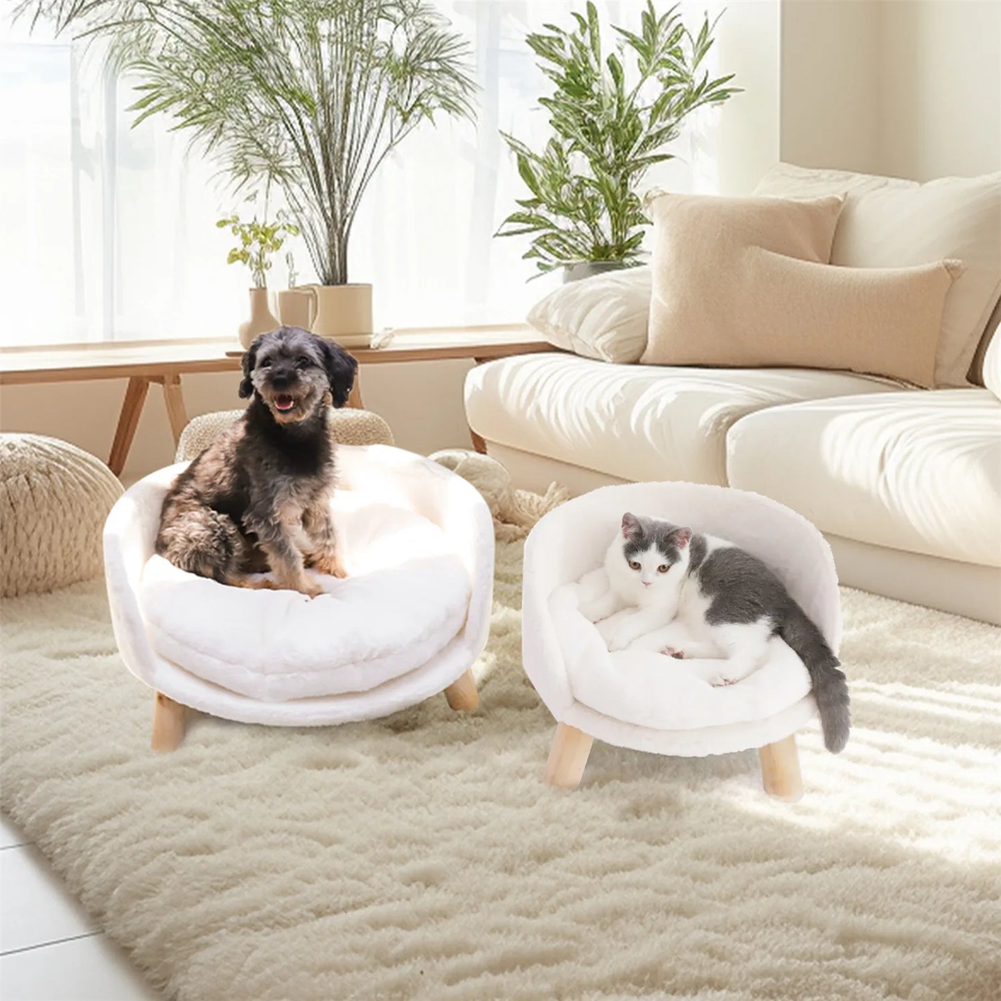 BINGOPAW Pet Sofa Bed Raised Cat Chair With Removable Cushion