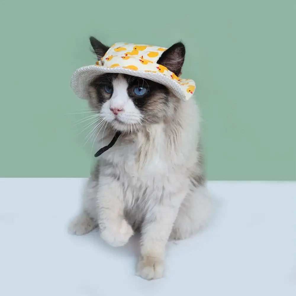 Adjustable Breathable Pet Sun Hat For Cats And Dogs